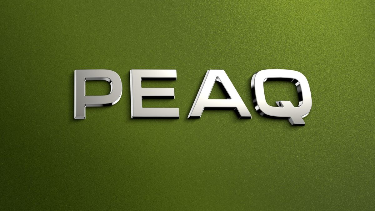 Největší Škoda v historii se bude jmenovat Peaq. Vtip je ve výslovnosti